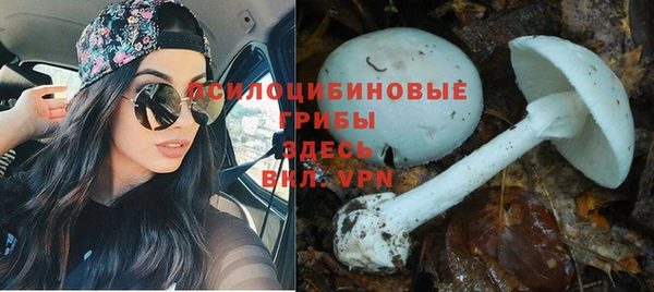 марки nbome Алексеевка