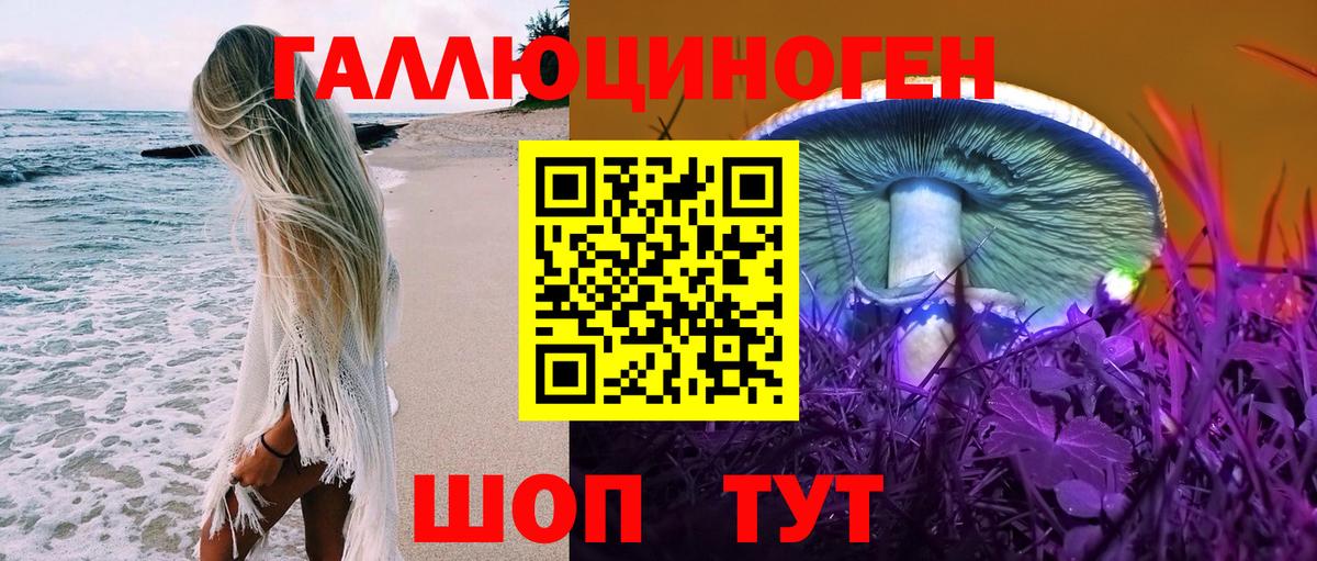 Псилоцибиновые грибы Psilocybine cubensis Гурьевск