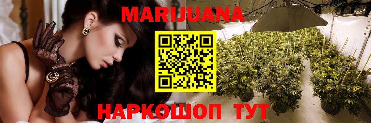 Бошки марихуана гибрид  Вход с VPN  Шишки марихуана план  Марихуана MAZAR  Гурьевск  МАРИХУАНА AK-47 